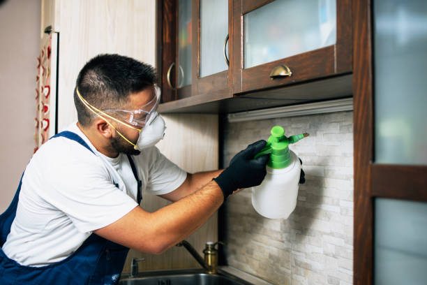 Best Emergency Pest Control  in Holdrege, NE