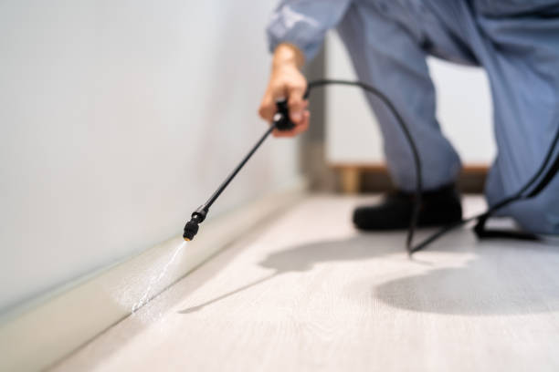Flea Control Services in Holdrege, NE