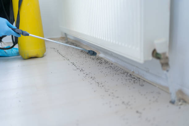Best Mosquito Control Services  in Holdrege, NE
