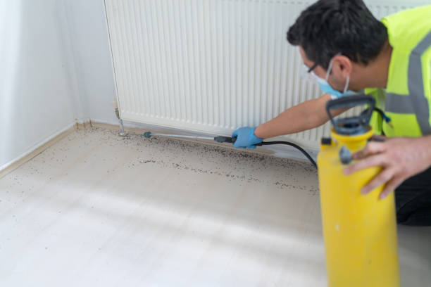 Best Best Pest Control Companies  in Holdrege, NE