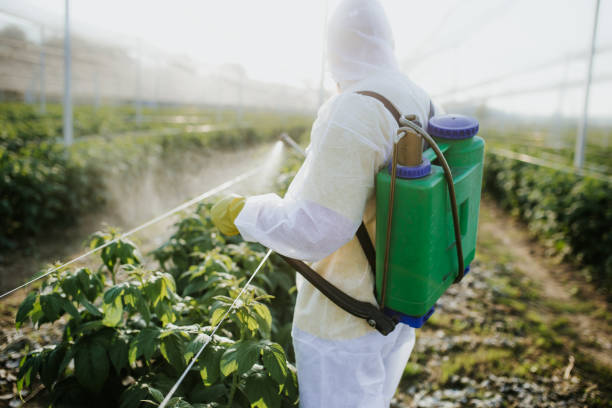 Best Commercial Pest Control Services  in Holdrege, NE